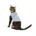 Top Paw® Sip Sip Hooray Shirt image thumbnail 2