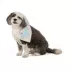 Top Paw® Sip Bandana image thumbnail 1