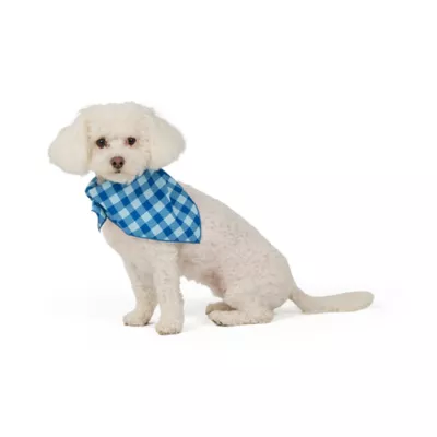 Top Paw® Sip Bandana - Image 2
