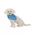 Top Paw® Sip Bandana image thumbnail 2