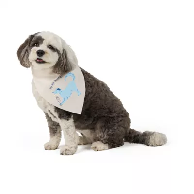 Top Paw® Sip Bandana - Image 1