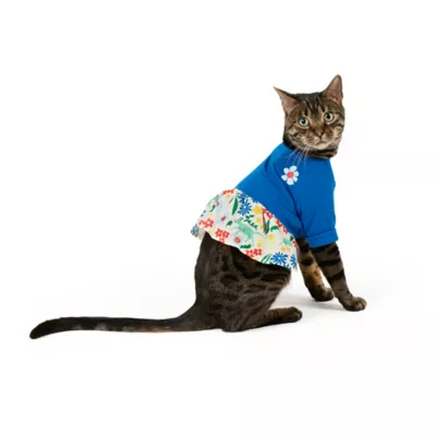 Top Paw® Dress - Image 2