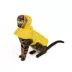 Top Paw® Duck Raincoat image thumbnail 2