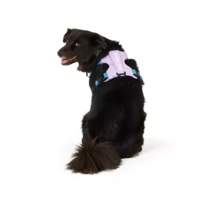 Arcadia Trail® Light Weight Dog Harness Reflective Material for Improved Low Light Visibility - Image 2