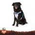 Arcadia Trail® Light Weight Harness image thumbnail 1