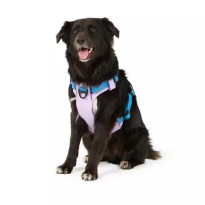 Arcadia Trail® Light Weight Dog Harness Reflective Material for Improved Low Light Visibility - Image 1