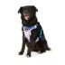 Arcadia Trail® Light Weight Dog Harness Reflective Material for Improved Low Light Visibility image thumbnail 1