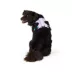 Arcadia Trail® Light Weight Dog Harness Reflective Material for Improved Low Light Visibility image thumbnail 2