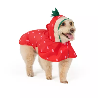 Top Paw® Strawberry Raincoat - Image 1