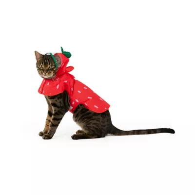 Top Paw® Strawberry Raincoat - Image 2