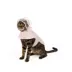 Top Paw® Flower Raincoat image thumbnail 2