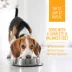 Nutrience Homestyle Dog Food Topper image thumbnail 3