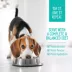 Nutrience Homestyle Dog Food Topper image thumbnail 3