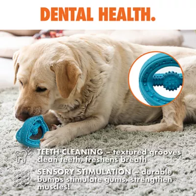 Product ARLEE Max Fusion with Nike Grind, Phoenix Ball Dog Toy