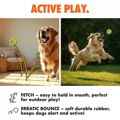 ARLEE Max Fusion with Nike Grind, Pop It Ball Dog Toy - Image 4