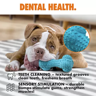 ARLEE Max Fusion with Nike Grind, Pulse Bone Dog Toy - Image 4