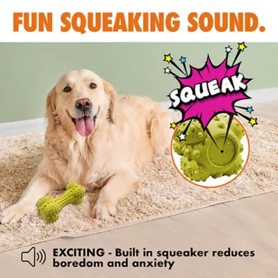 ARLEE Max Fusion with Nike Grind, Pulse Bone Dog Toy - Image 5