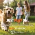 ARLEE Max Fusion with Nike Grind, Pulse Bone Dog Toy image thumbnail 2