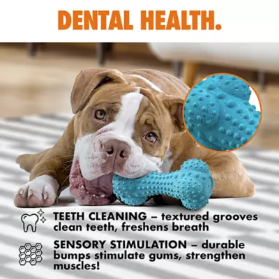 ARLEE Max Fusion with Nike Grind, Pulse Bone Dog Toy - Image 4