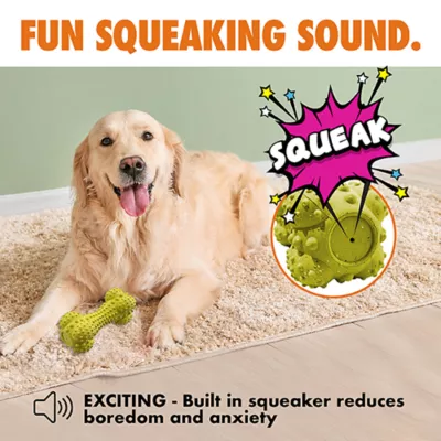 ARLEE Max Fusion with Nike Grind, Pulse Bone Dog Toy - Image 5