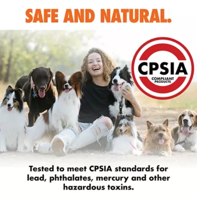 ARLEE Max Fusion with Nike Grind, Pulse Bone Dog Toy - Image 9