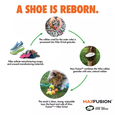 ARLEE Max Fusion with Nike Grind, Pulse Bone Dog Toy - Image 10