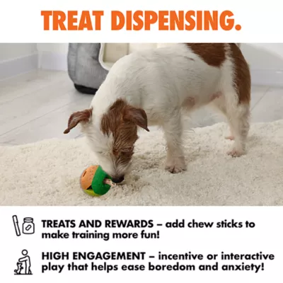 ARLEE Max Fusion with Nike Grind, Quantum Ball Dog Toy - Image 5