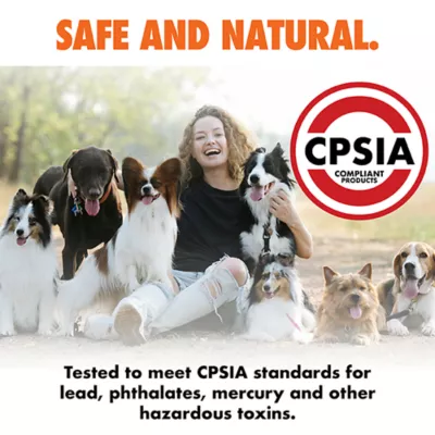 ARLEE Max Fusion with Nike Grind, Spike Bone Dog Toy - Image 9