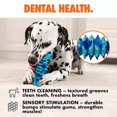 ARLEE Max Fusion with Nike Grind, Spike Bone Dog Toy - Image 5