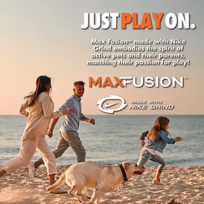 ARLEE Max Fusion with Nike Grind, Football Dog Toy - Image 2