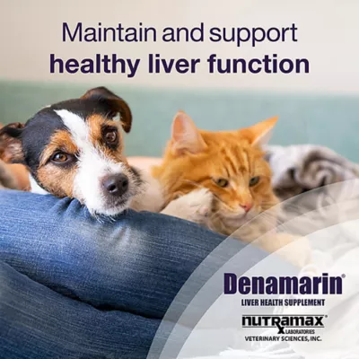 Product Nutramax Denamarin Small Dogs/ Cats 90mg x 30 Tablet Bottle