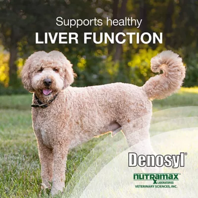 Product Nutramax Denosyl for Large Dogs 425 mg 30 Stabilized Tablets
