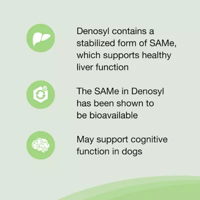 Product Nutramax Denosyl for Large Dogs 425 mg 30 Stabilized Tablets