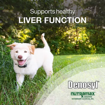 Product Nutramax Denosyl for Medium Dogs 225 mg 30 Stabilized Tablets