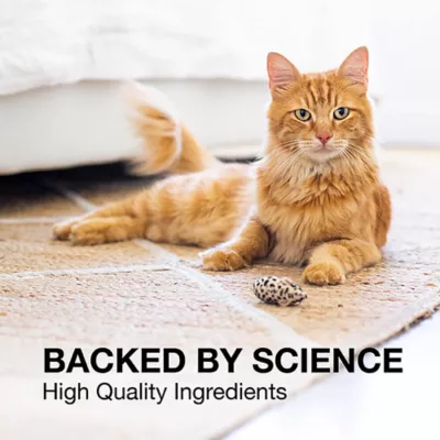 Product Nutramax Denosyl for Small Dogs and Cats 30 Stabilized Tablets