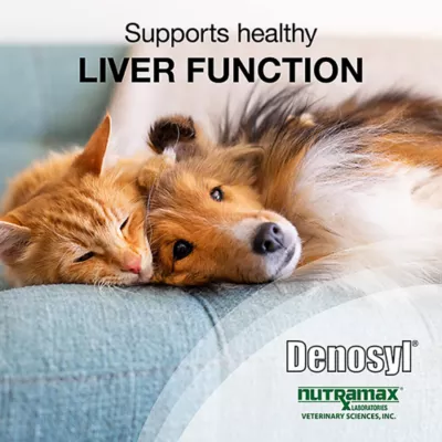 Product Nutramax Denosyl for Small Dogs and Cats 30 Stabilized Tablets