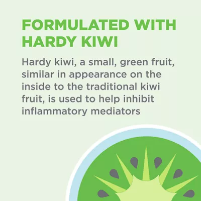 Nutramax Dermaquin Skin Support for Dogs - 60 Count - Image 5