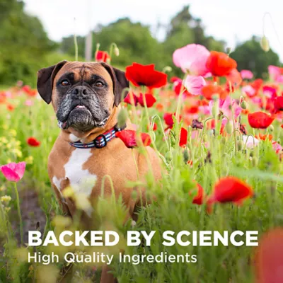 Nutramax Dermaquin Skin Support for Dogs - 60 Count - Image 7