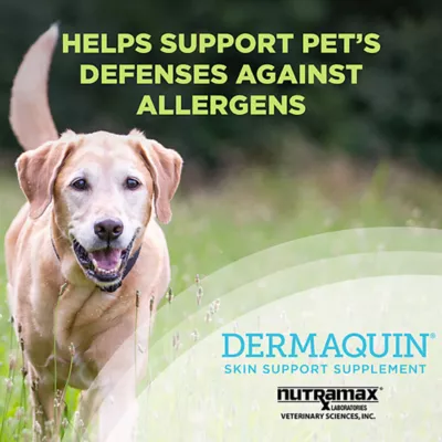 Nutramax Dermaquin Skin Support for Dogs - 60 Count - Image 8