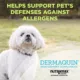 Product Nutramax Dermaquin Skin Support for Dogs - 60 Count
