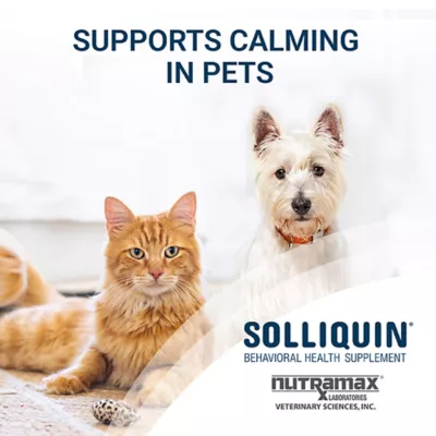 Nutramax Solliquin Cat & Dog Calming Support Supplement for Relaxation, Natural Flavor, 75 CT - Image 3