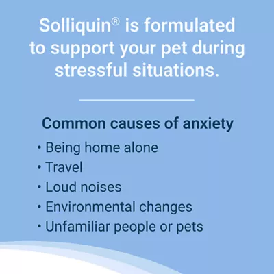 Nutramax Solliquin Cat & Dog Calming Support Supplement for Relaxation, Natural Flavor, 75 CT - Image 4