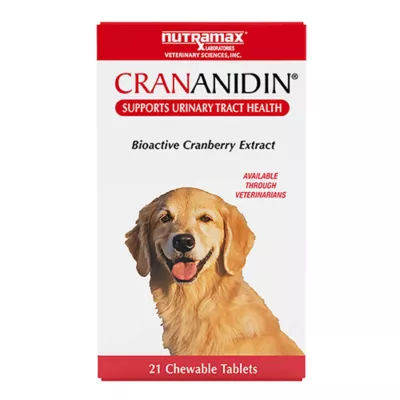 Product Nutramax Crananidin for Dogs, 75 Chewable Tablets