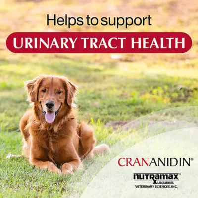 Product Nutramax Crananidin for Dogs, 75 Chewable Tablets