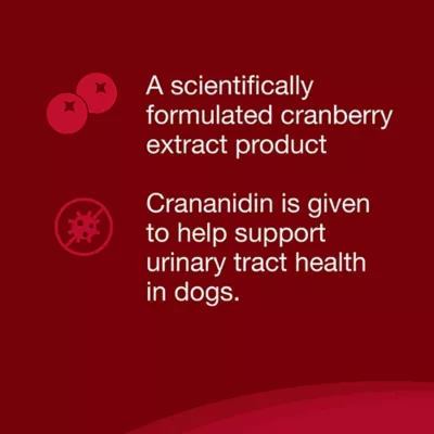Product Nutramax Crananidin for Dogs, 75 Chewable Tablets