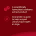 Nutramax Dog Crananidin Cranberry Extract Chewable Tablets Urinary Supplement, 75 Chewable Tablets image thumbnail 4