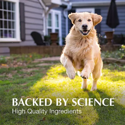 Product Nutramax Crananidin for Dogs, 75 Chewable Tablets