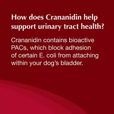 Product Nutramax Crananidin for Dogs, 75 Chewable Tablets
