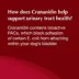 Nutramax Dog Crananidin Cranberry Extract Chewable Tablets Urinary Supplement, 75 Chewable Tablets image thumbnail 7