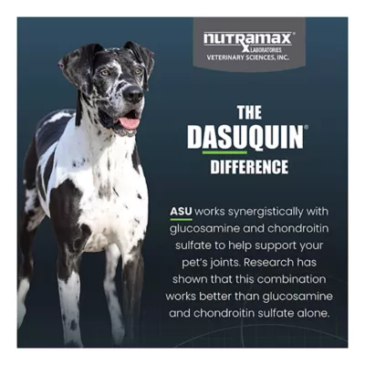 Nutramax Dasuquin for Large Dogs 60lbs and Over, Joint Supplement, Chewable Tablets, 150 Count - Image 6